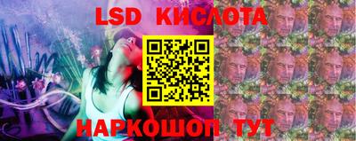 скорость Кингисепп