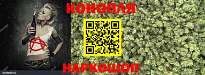 скорость Кингисепп
