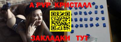 скорость Кингисепп