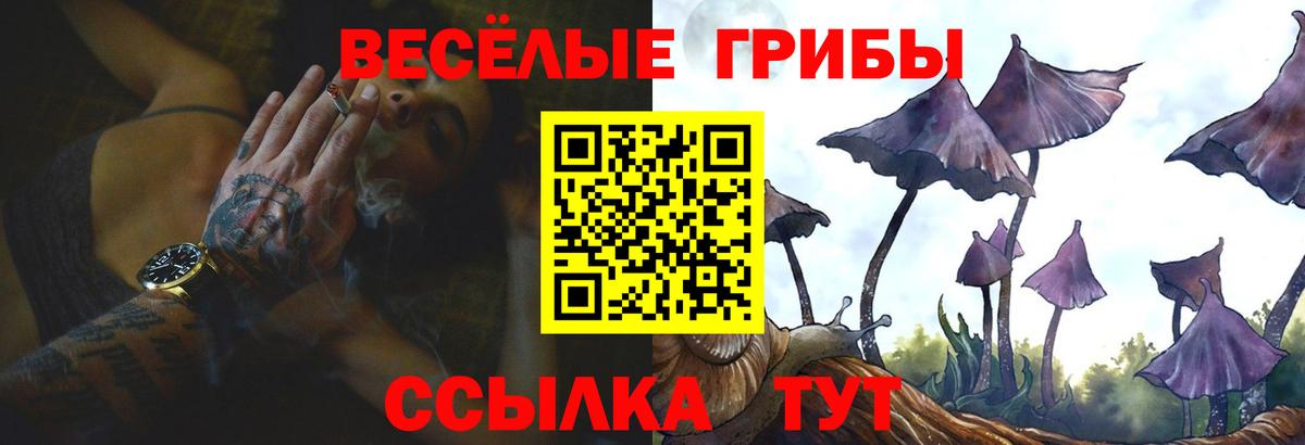 купить наркотик  Галлюциногенные грибы мухоморы  Вход с VPN  Псилоцибиновые грибы мухоморы  Знаменск 